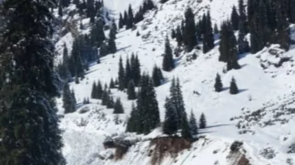 Алматыда қар көшті