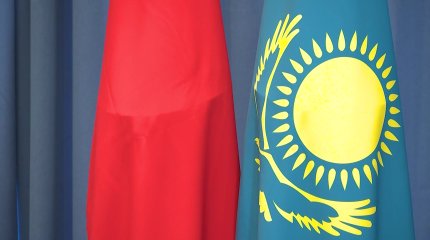 Токаев обсудил с китайскими инвесторами строительство электростанций в Жамбылской и Павлодарской областях