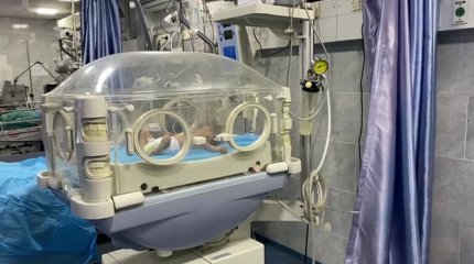 Голод наступит на севере сектора Газы в мае этого года,- ООН