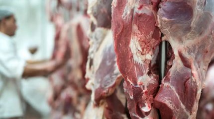 Қазақстан 13 елмен ветеринарлық сертификаттарды мақұлдады