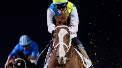 Қабирхан Дубайдағы әлем кубогінде 120 мың доллар жеңіп алды