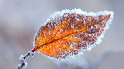Еліміздің екі облысында қар жауатыны болжанып отыр