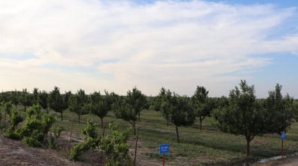 Жамбыл облысында 182 гектар жер мемлекетке қайтарылды