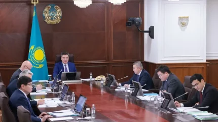 Арнайы экономикалық аймақтар институты тиісті деңгейде дамымай отыр – Үкімет басшысы