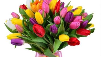 Қазақстанда 8 наурызда әйелдерге 1 миллион теңге берілетін болды