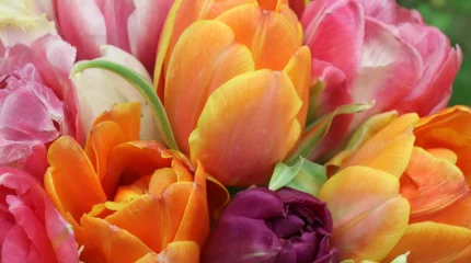 Астанада 8 наурыз күні қандай іс-шаралар өтеді?