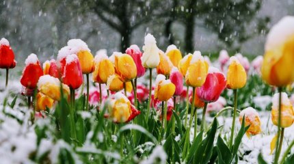 О погоде в праздничные выходные рассказали синоптики