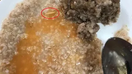 "Тамақтан құрт пен тарақан шықты". Мектептегі асханада тазалық сақталмаған