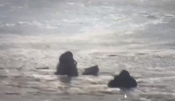 Двое подростков едва не утонули в ледяном Урале (ВИДЕО)