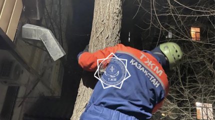 Необычную спецоперацию пришлось провести спасателям Тараза