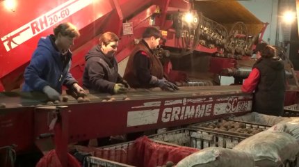 Қырыққа жуық шаруашылықтың атынан субсидия рәсімдеген алаяқ 7 жылға сотталды