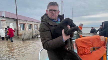 Депутаты Мажилиса находятся в пострадавших от паводков регионах