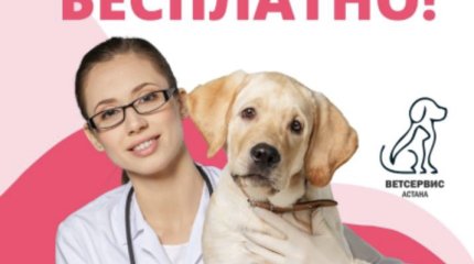 Бесплатную вакцинацию домашних питомцев начали в Астане