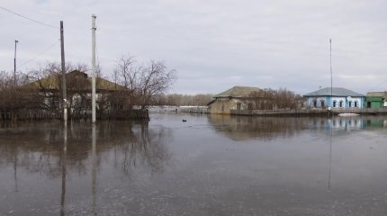 Су тасқыны кезінде өлген жануарлардың иелеріне өтемақы төленеді