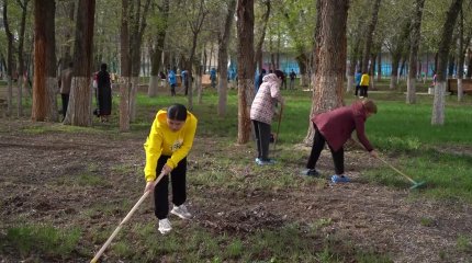 "Таза Қазақстан" акциясы аясында Таразда 2200 түп көшет егілді