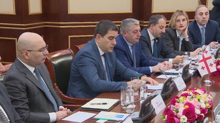 Ерлан Қошанов Грузия Парламентінің төрағасы Шалва Папуашвилимен кездесті