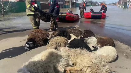 No comments: казахстанцы продолжают борьбу со стихией