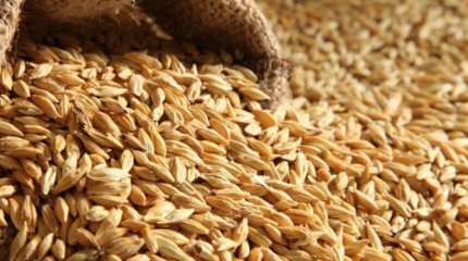 АШМ өкілі су басқан астық қоймалары иелеріне қандай көмек қарастырылғанын айтты