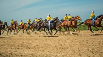 Атырау облысында әкімдік су тасқыны кезінде 54,5 млн теңгеге бәйге өткізбек болған