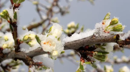 Снег и +29. О погоде в четверг рассказали в «Казгидромете»