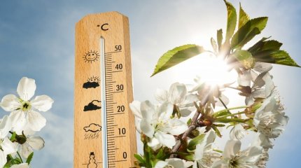 От +40 до -5: жару и заморозки обещают синоптики в мае