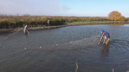 Балық аулауға тыйым салынды