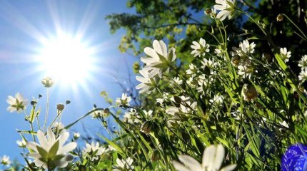 +40°С. Мамыр айында күн қатты ысиды