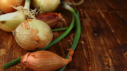 Жетісу облысында пияз далада қалды