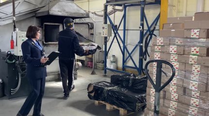 Ресейден әкелінген қызанақтан вирус анықталды