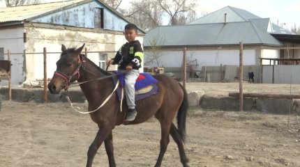 Қызылордалық 9 жасар Әбу аттың құлағында ойнайды