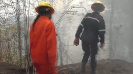 Венесуэла в огне: спутники запечатлели рекордное количество лесных пожаров