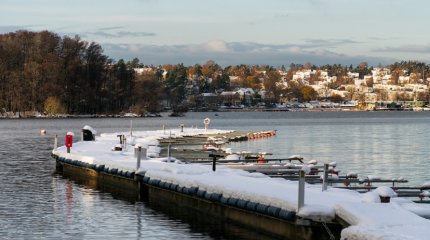 Женщина протаранила лодочный клуб: 2 ребенка погибли