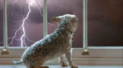 Грозы и морозы: прогноз погоды на понедельник