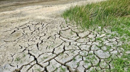 "Қызылорда облысының Қармақшы ауданында атмосфералық құрғақшылық күтілуде", - Қазгидромет