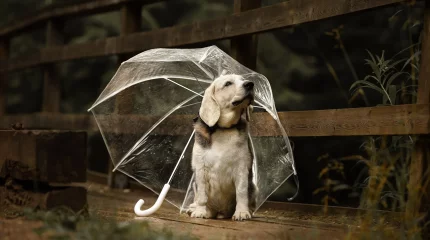 Дожди и похолодание идут в Казахстан