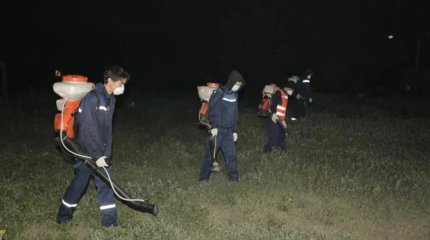 О ядовитой опасности ночных прогулок в парках и скверах предупредили астанчан