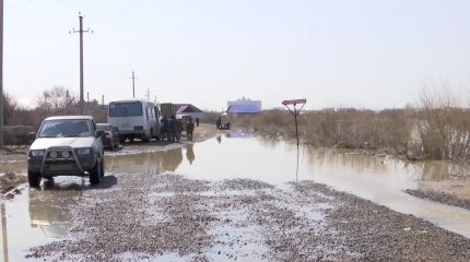 Компенсацию за павший скот из-за паводка начали получать жители Актюбинской области