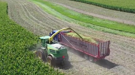 Ағаш егу арқылы жаһандық жылынумен күресе аламыз