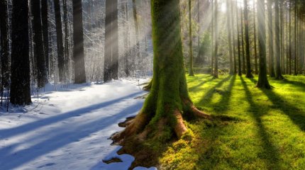 10 жылдан кейін Қазақстандағы климат қандай болады?