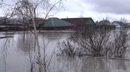 "На этой беде бизнес не надо делать", - аким СКО обратился к предпринимателям региона