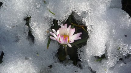 Дожди и снег придут в Казахстан к концу недели