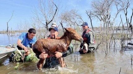 Для пострадавших от наводнения запустили сайт