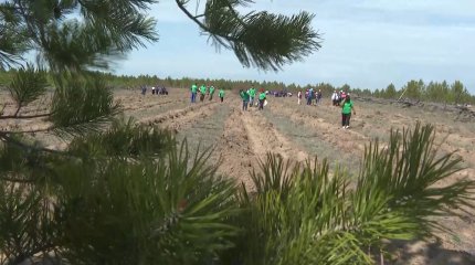 Мемлекет басшысы Абай облысы тұрғындарының бастамасын қолдады