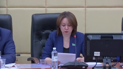 Уголовную ответственность за незаконное получение кредита планируют отменить в Казахстане