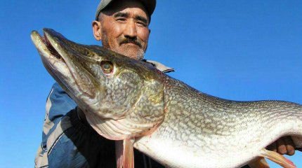 Казахстанцы стали меньше есть рыбы и морепродуктов