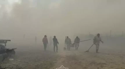 Алматы облысында орман өрті: қылмыстық іс қозғалды