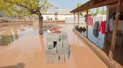 Қырғызстанда сел жүріп, 200-ден астам тұрғын үй су астында қалды