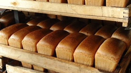 Жамбылдық депутат нанның бағасын 500 теңгеге дейін көтеруді ұсынды