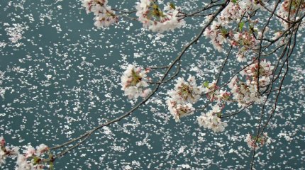 Дожди, заморозки и ветер: о погоде на пятницу рассказали синоптики