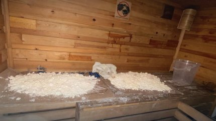 35 килограммов наркотиков изъяли у алматинца